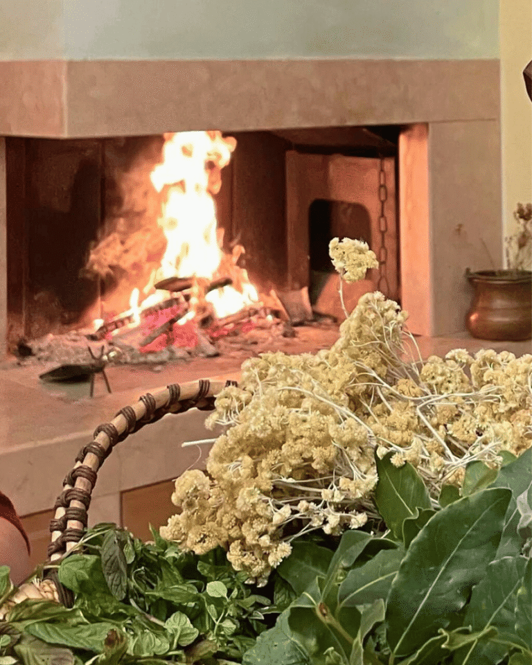 Caminetto della Soulseed Home