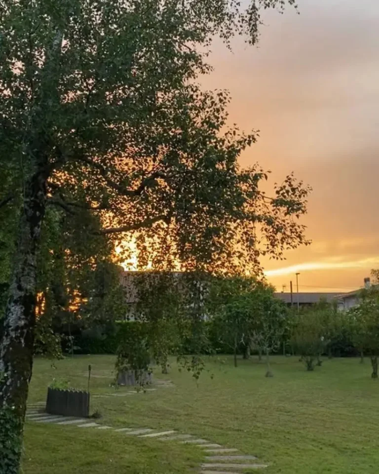 soulseed tramonto