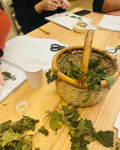 Connessioni Naturali – Scuola di Erboristeria Empatica: cesto in vimini contenente varie foglie di differenti piante, raccolte durante la giornata 'Lasciati Ac-cadere come una foglia'.